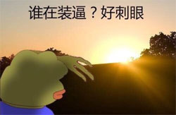 Sad Frog表情